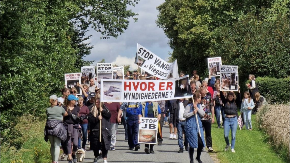 “Hestekrigen” i Skals – eller bare krigen?